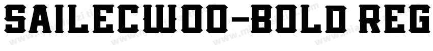 SailecW00-Bold Regul字体转换